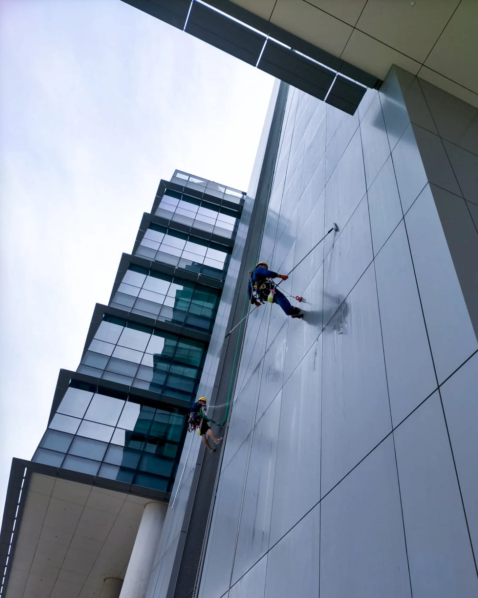 Workers cleaning the exterior windows of a modern, multi-story office building with glass facades and metal panels using ropes and harnesses.