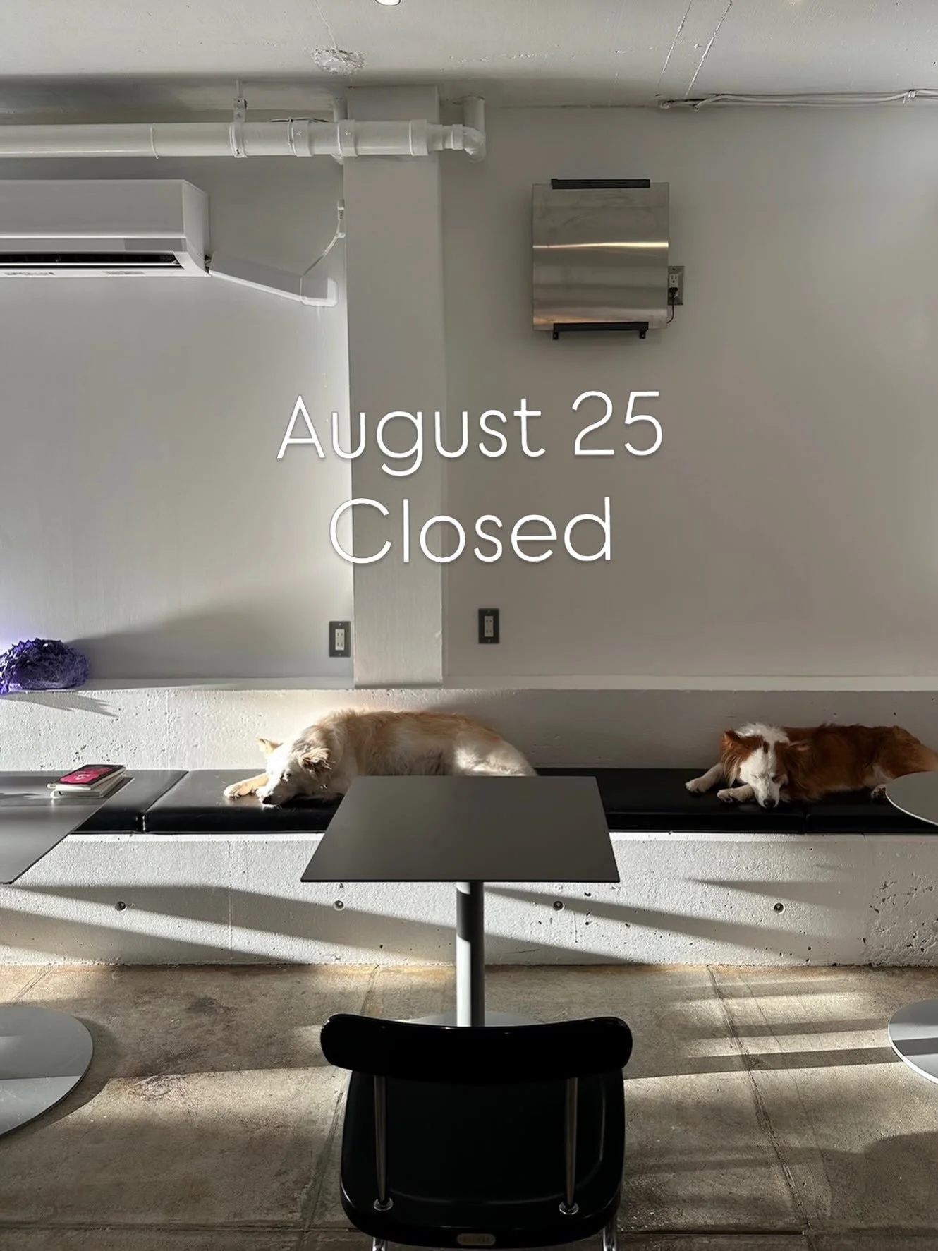 .
8/25
火曜日は定休日になります。
また、明日お会いしましょう！

August 25
We are closed today.
See you tomorrow!
