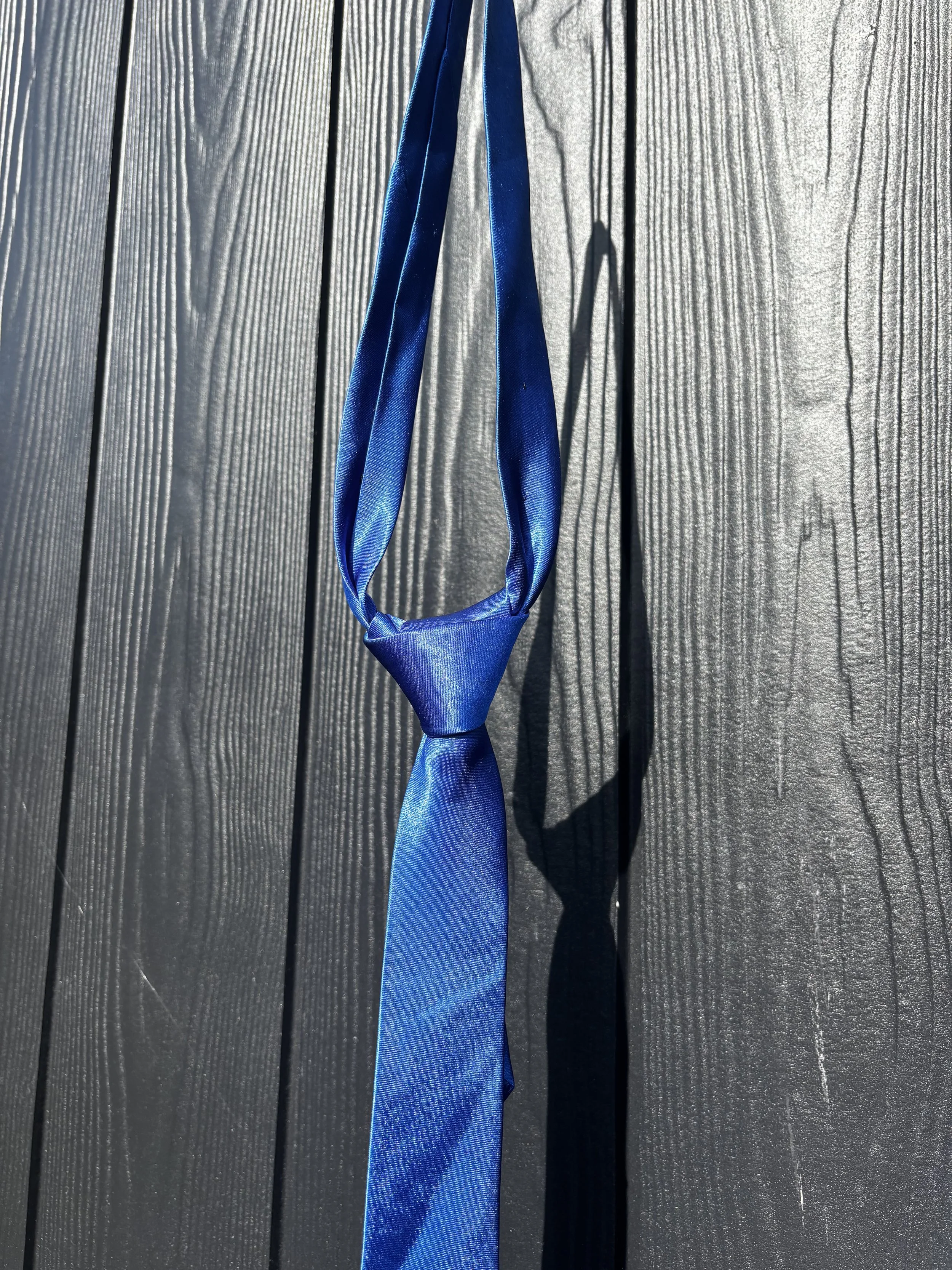 Blue silky 2.jpeg