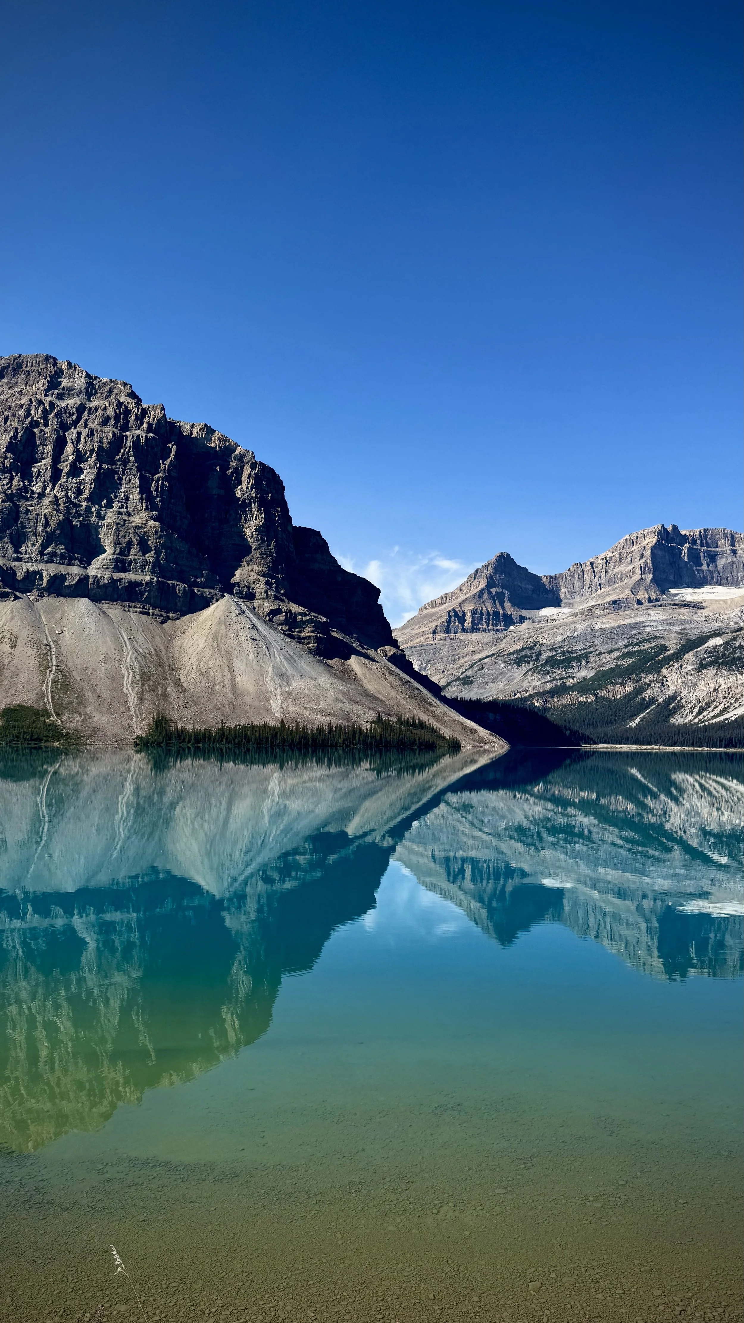 Mirror reflection
