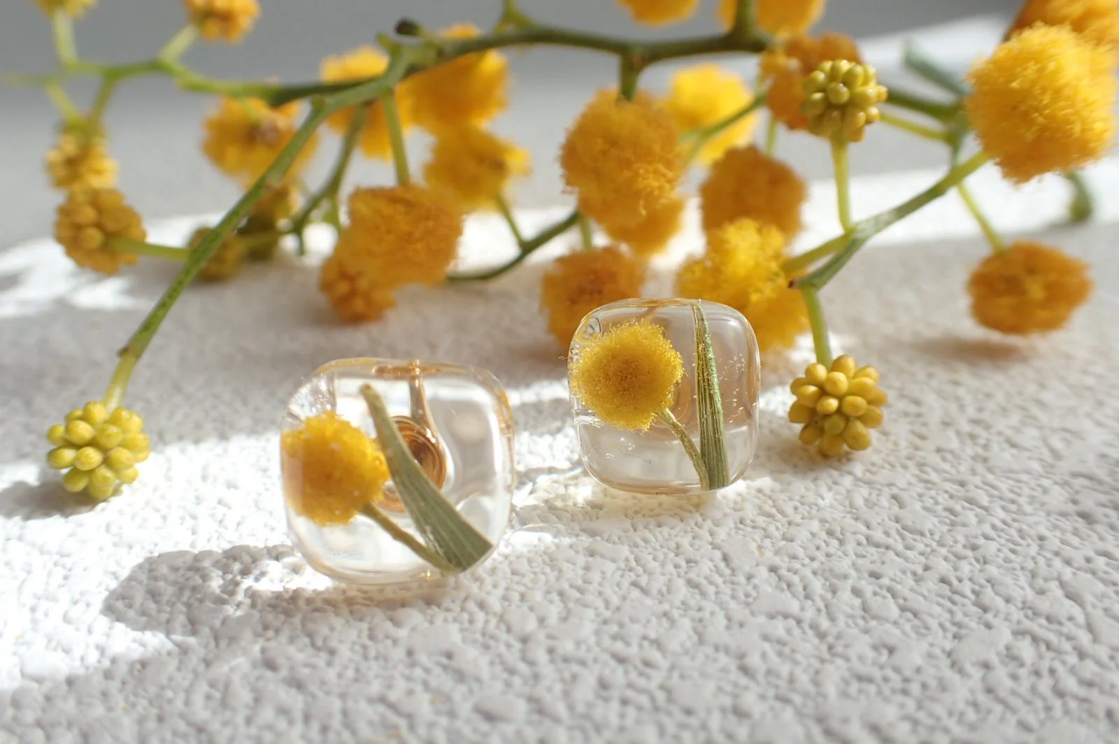 Golden Wattle Square Earrings.JPG