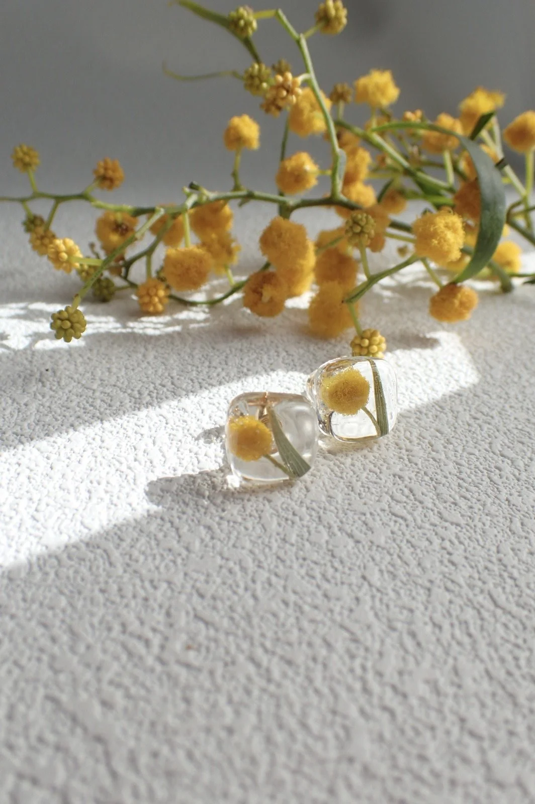Golden Wattle Square Earrings
