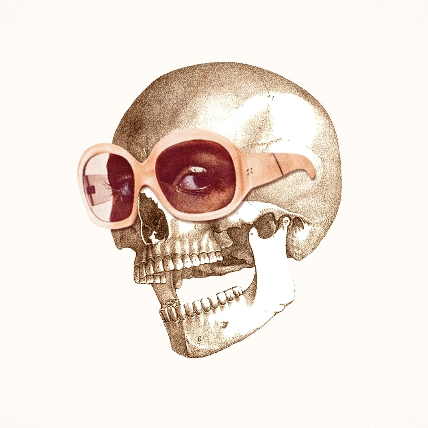 Eye Candy surreal skull collage art by SHARDS, featuring a vintage skull wearing oversized pink sunglasses