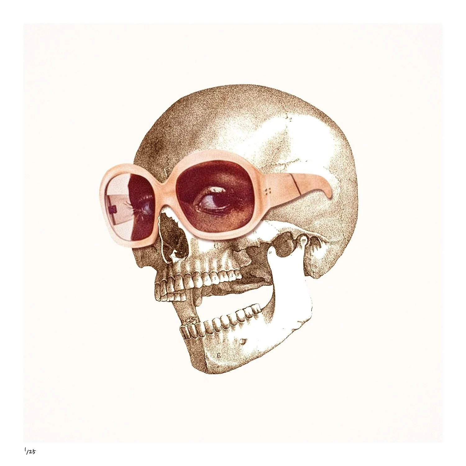 Eye Candy limited edition skull collage print with a white border and numbered edition.