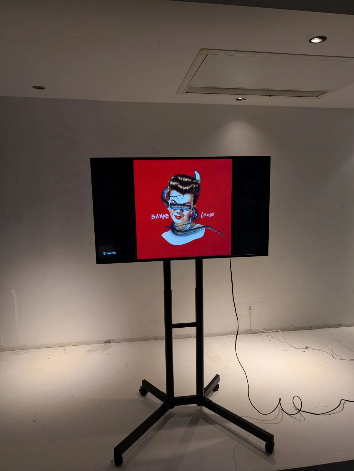 Snake Is Loose at Nox Gallery, Tokyo