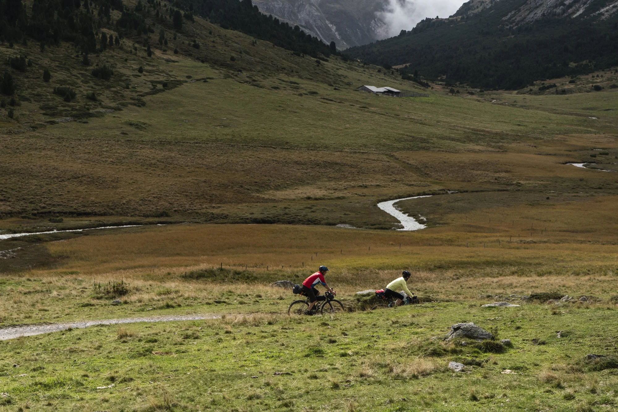 Val-Scharl.jpg