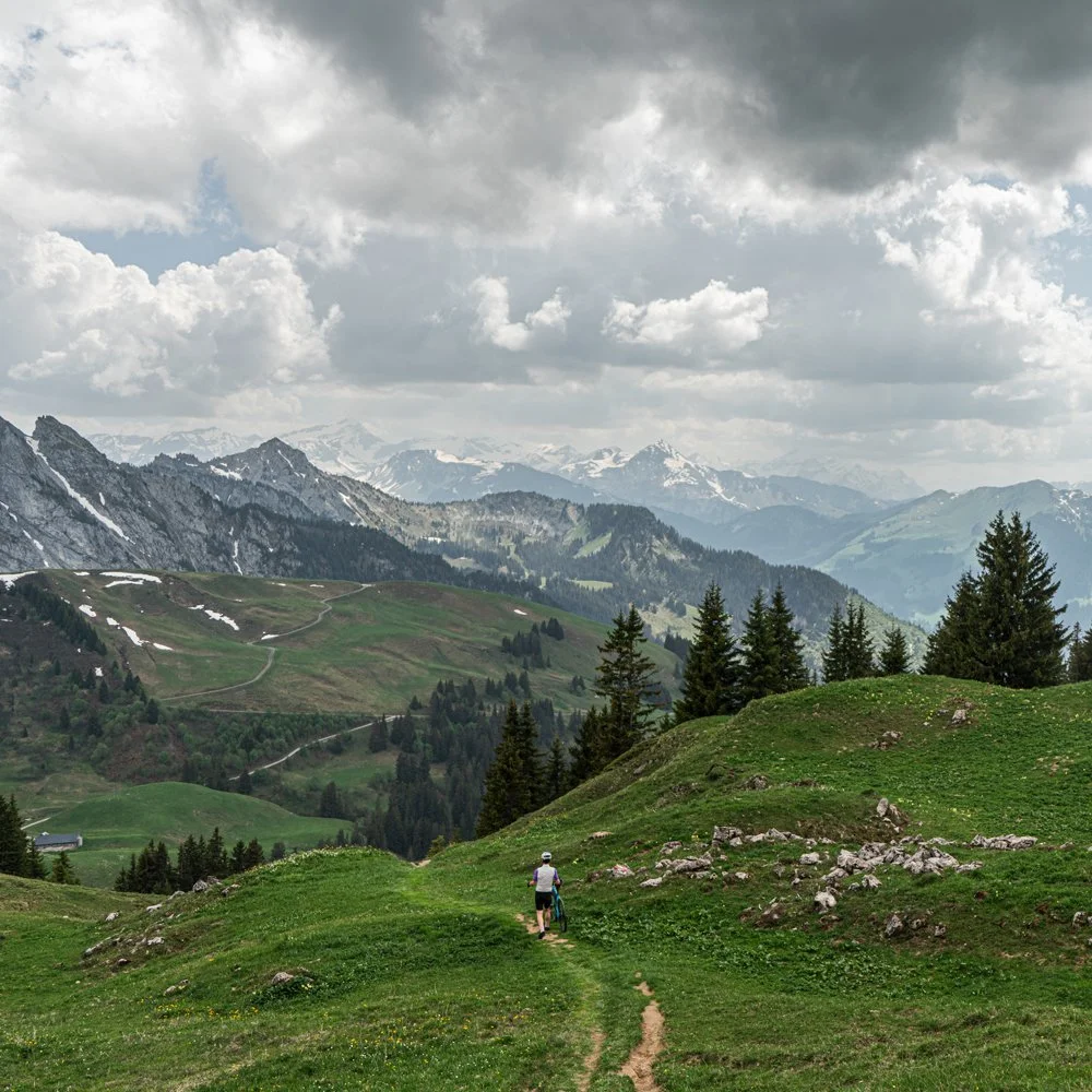 _DSC2598.jpg