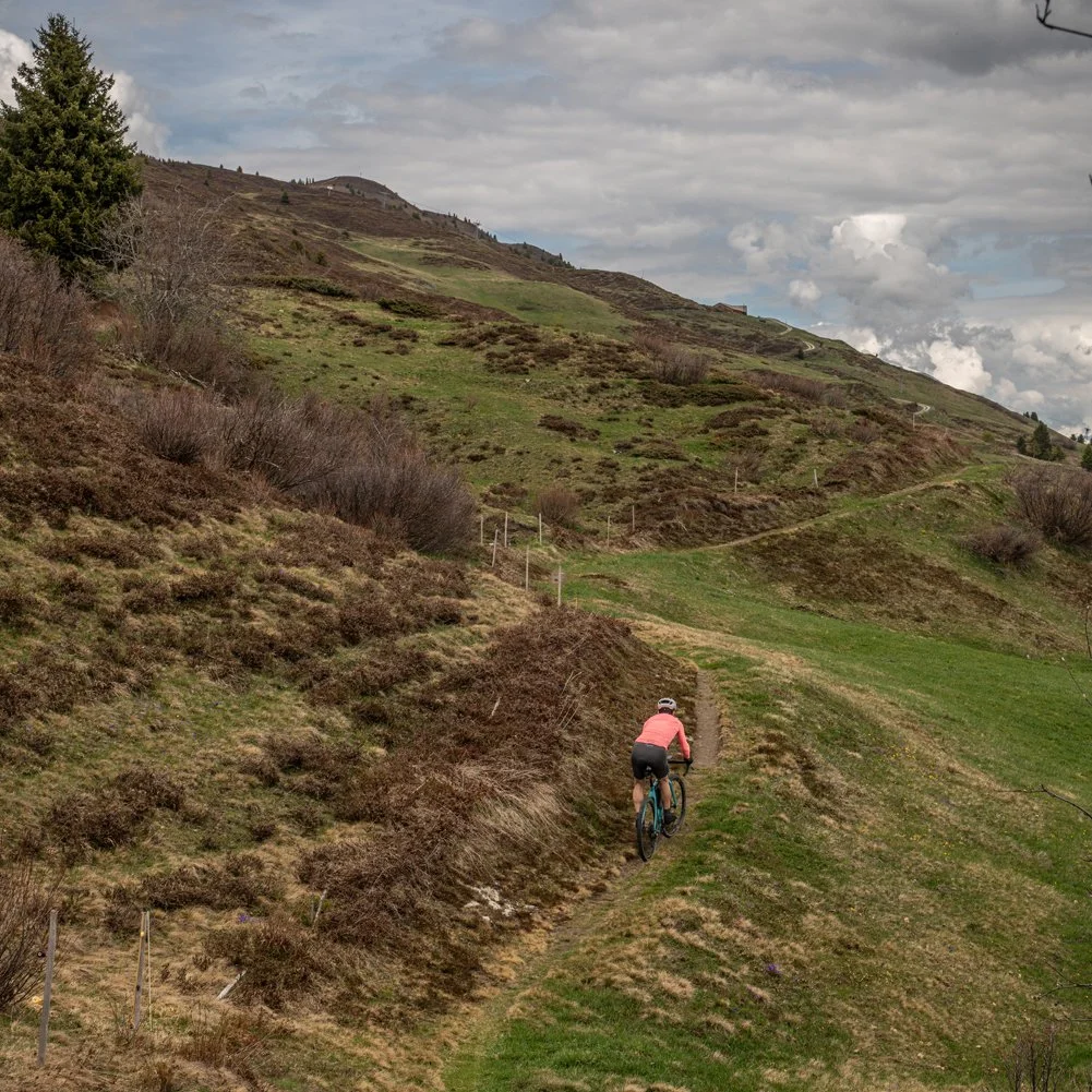 _DSC0958.jpg