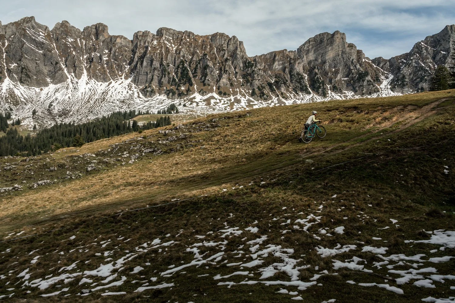 _DSC6870.jpg