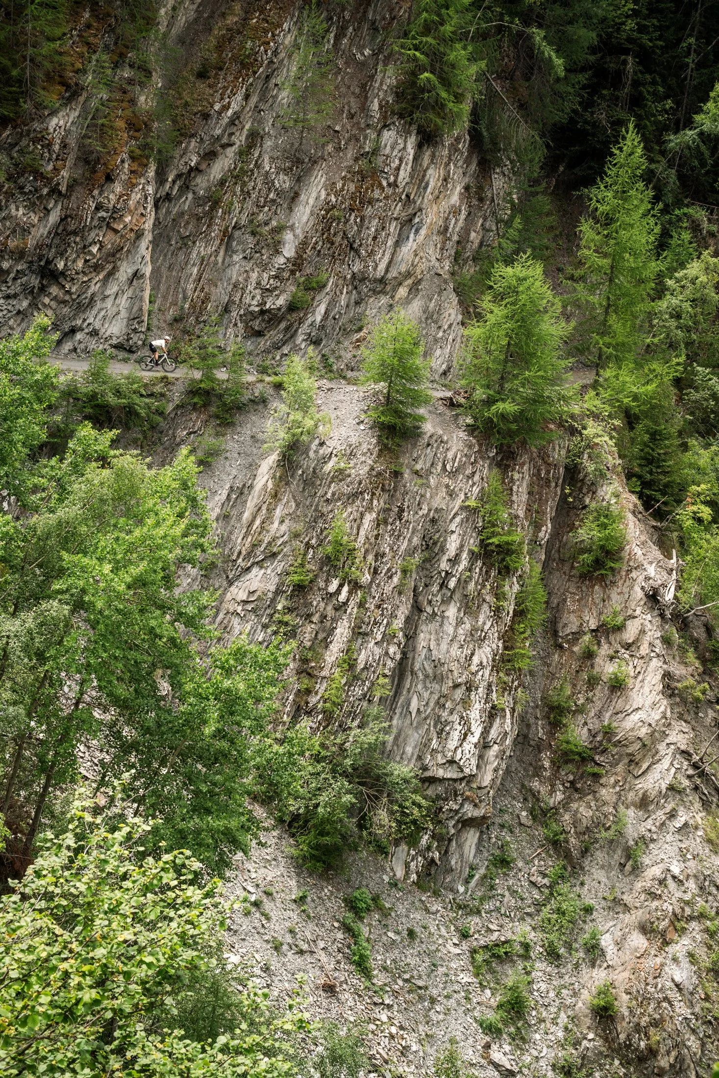 _DSC6456.jpg