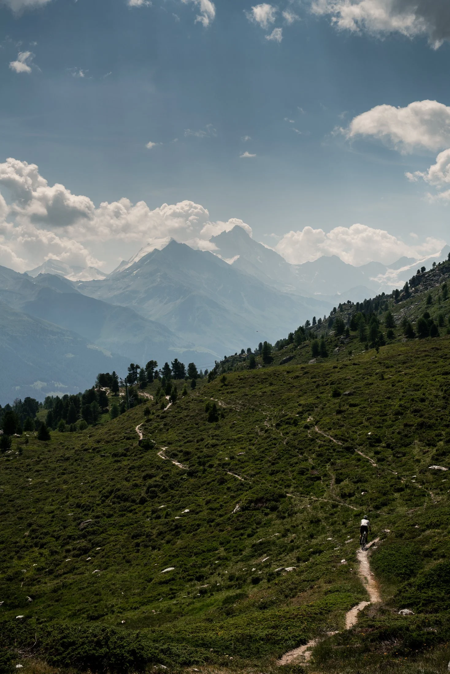 _DSC6560.jpg