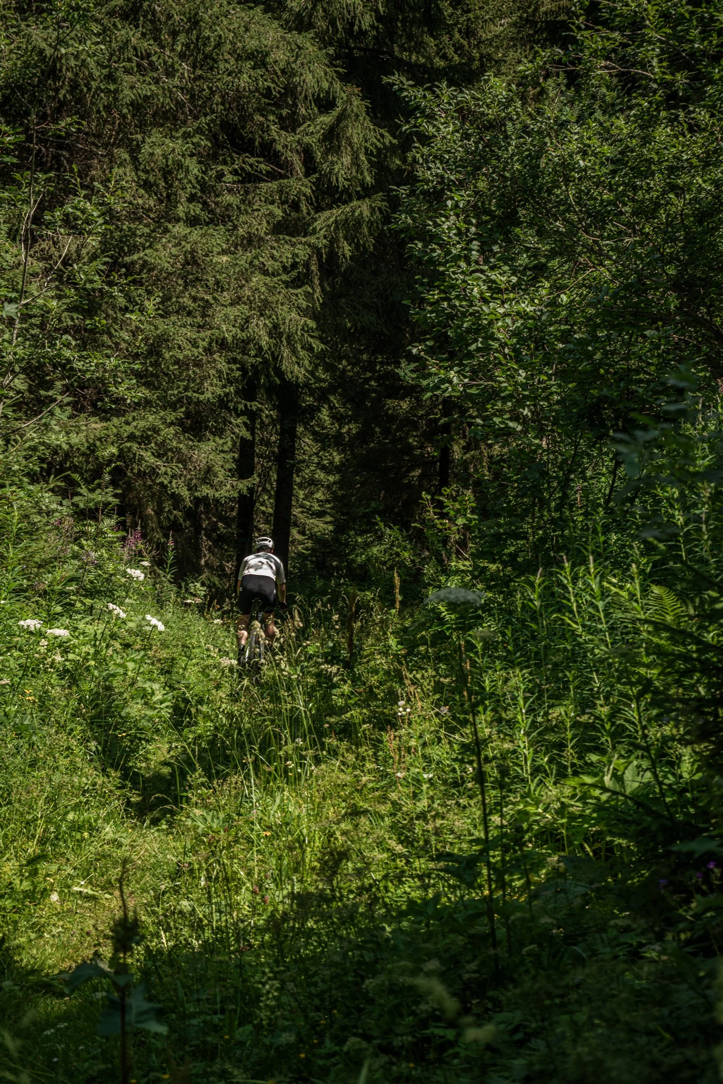 _DSC5950.jpg