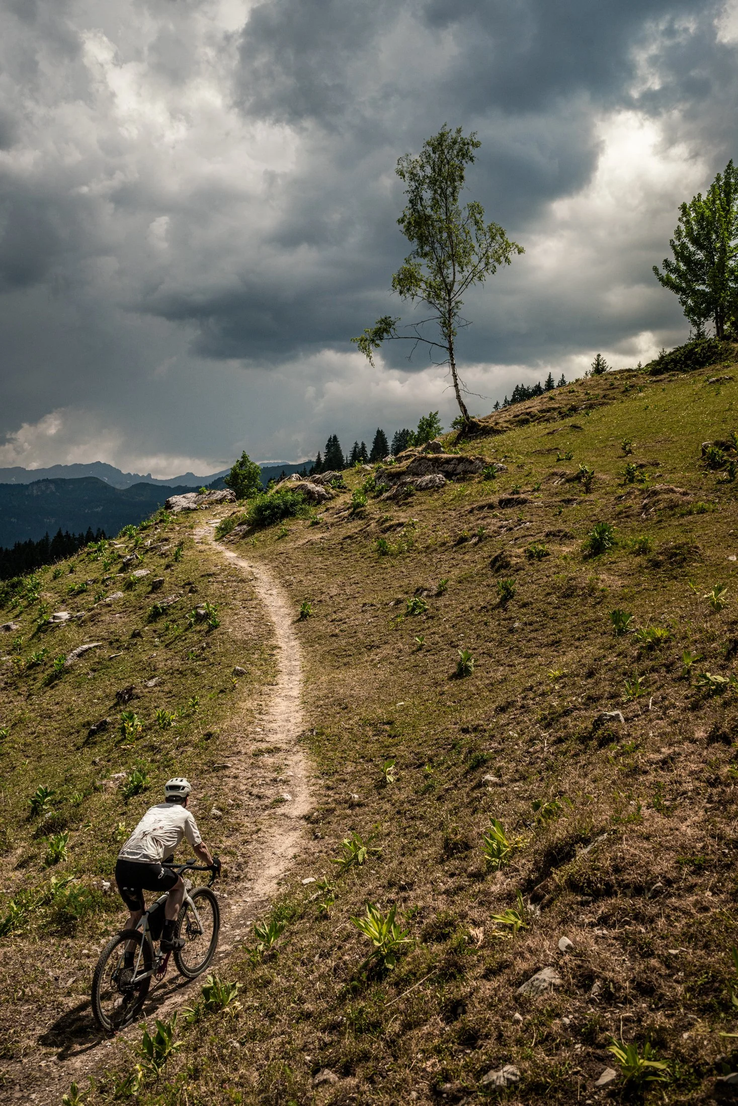 _DSC6028.jpg