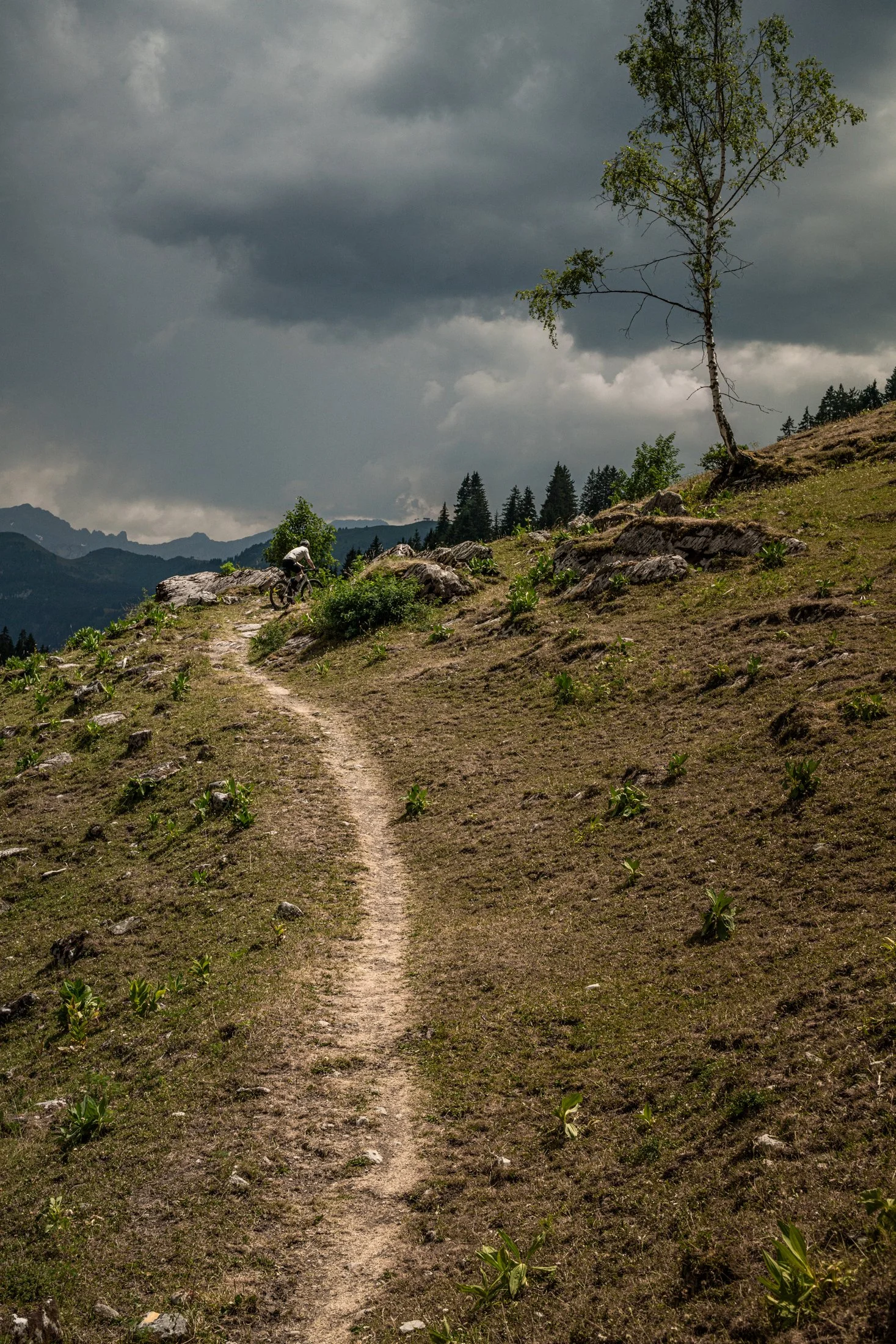 _DSC6043.jpg
