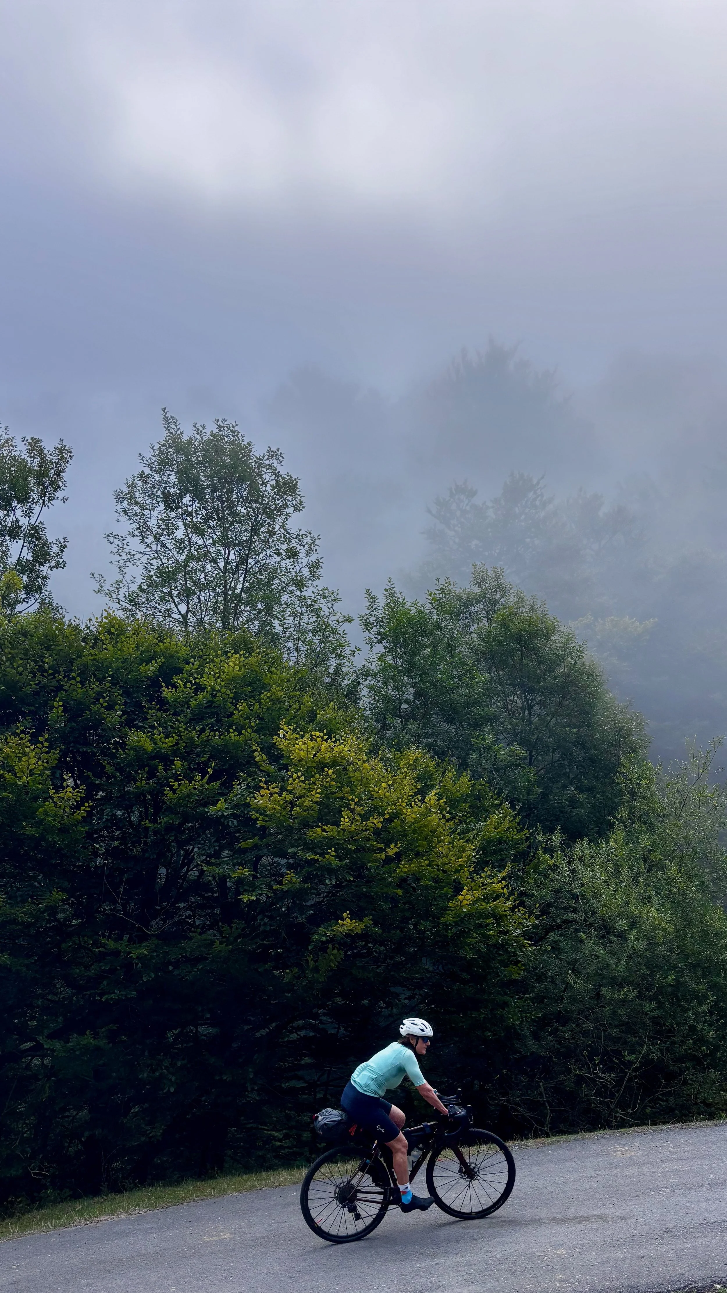 Forêt Syndicale de Baïgorry
