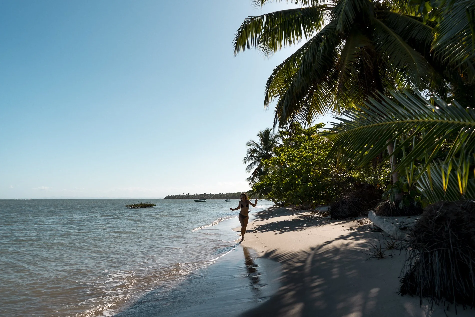 A woman in a bikini walking along the shoreline of a tropical beach with tall palm trees and green foliage, clear blue sky, and calm ocean waters.