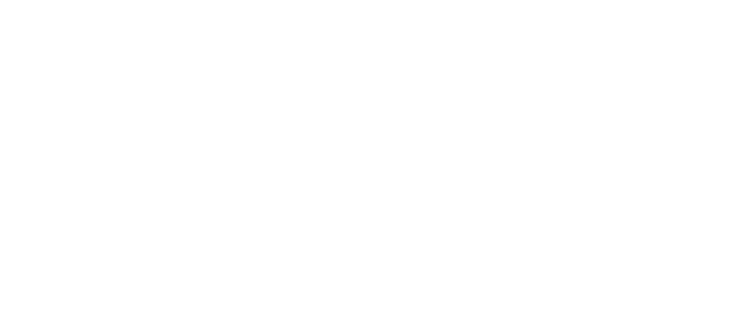 Nanny's Intuition logo in white text on a transparent background.