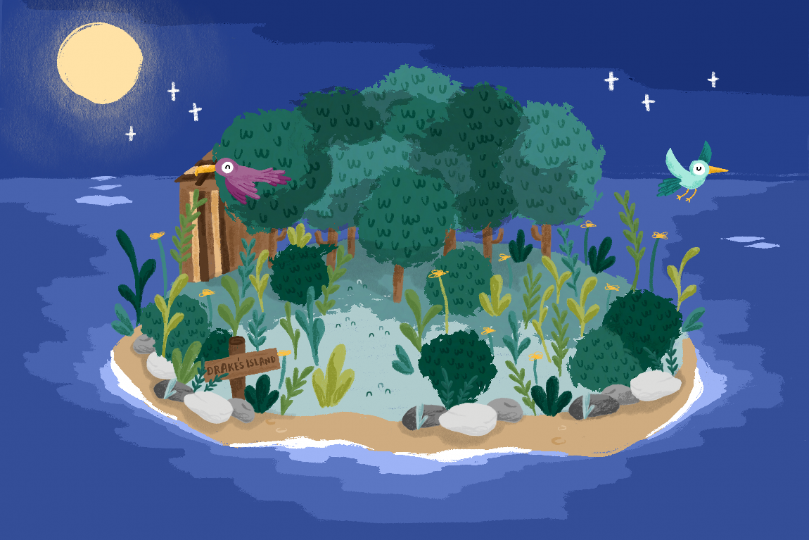 Illustration of Drake's Island at night with a full moon, two flying birds, surrounded by water, with plants and trees on the island, and a sign that reads "DRAKE'S ISLAND."