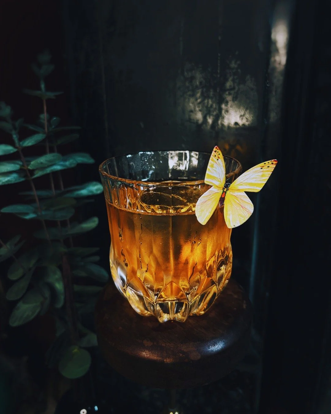Metamorphosis 🦋

Like a butterfly emerging from its chrysalis,  this luxurious cocktail transforms rich 
macadamia-washed rum with apricot, Irish Mist, honey, and warm tonka spice.

📍31 Dawson Street