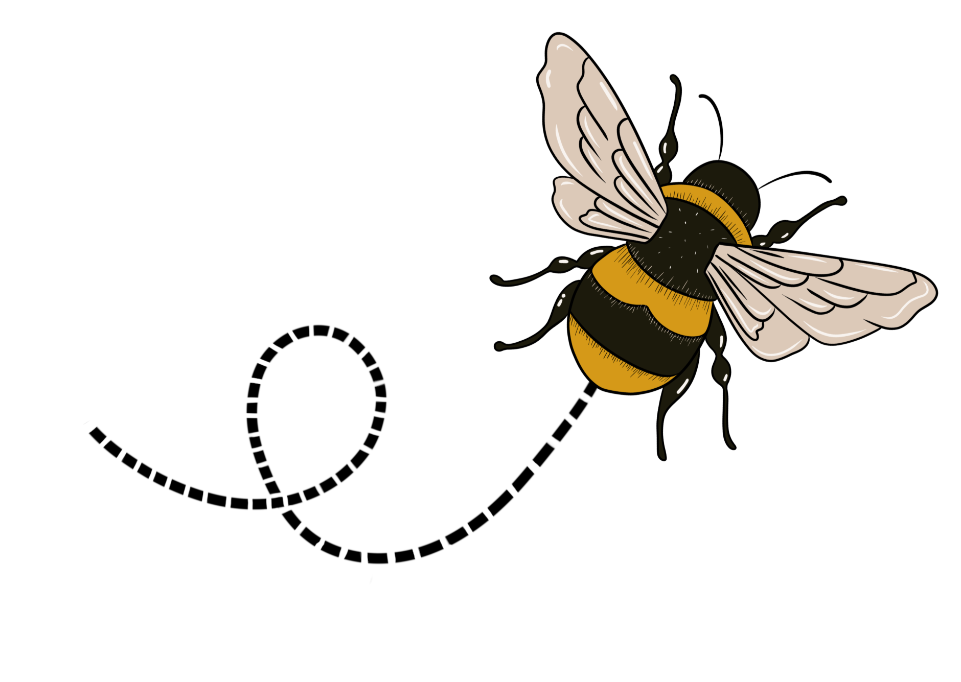 Illustration of a bee with beige and yellow striped body, white wings, and black legs on a black background.