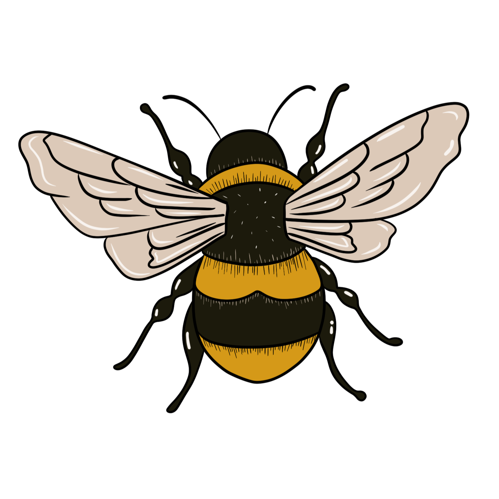 Digital illustration of a bee with white wings and a yellow and black striped body, set against a black background.