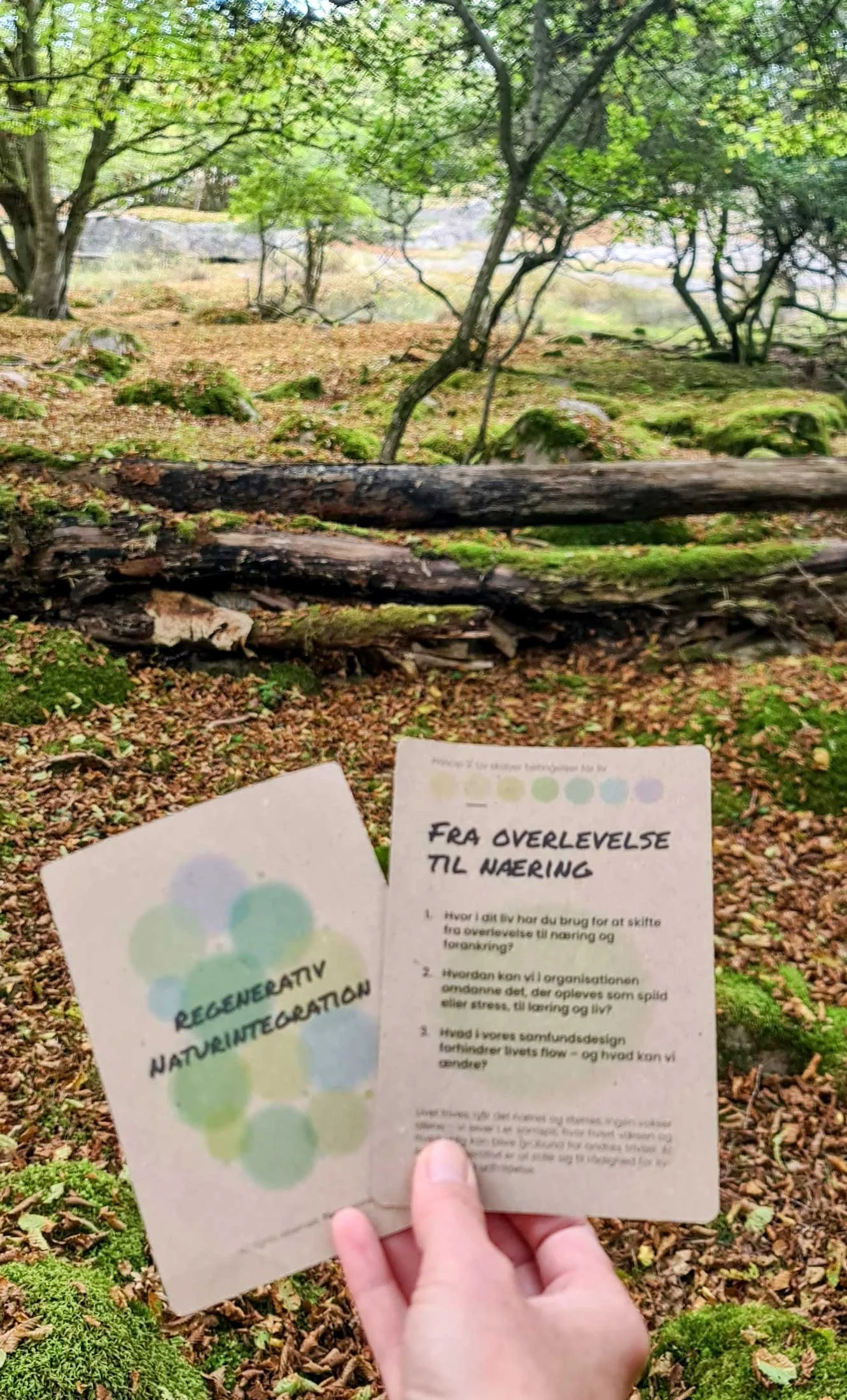 Hanö-retreat-taws-03.jpg