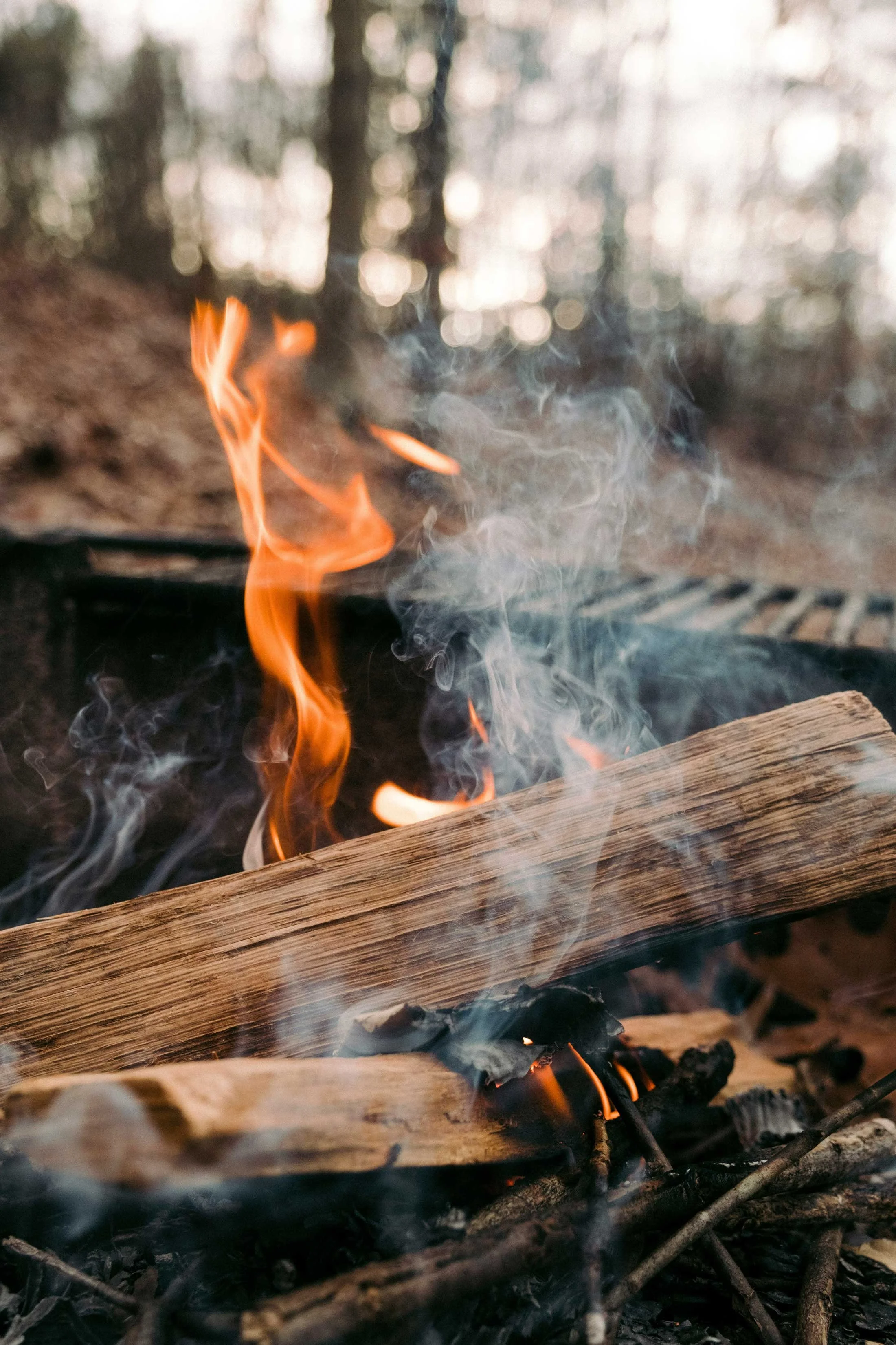 Billede af en åben ild med flammer og røg, med brændende træstykker i en skov under en naturlig baggrund.