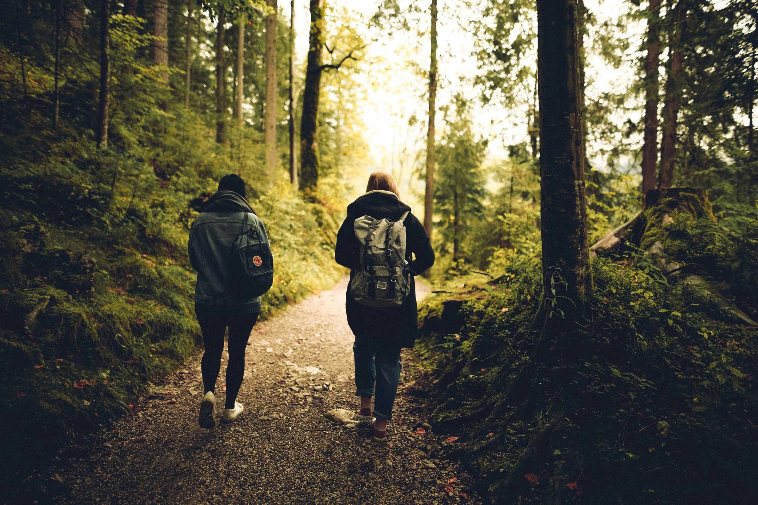 Walk & Talk for Change hjælper teams og organisationer med at styrke relationer, psykologisk tryghed og engagement gennem guidede samtaler i bevægelse og natur.
