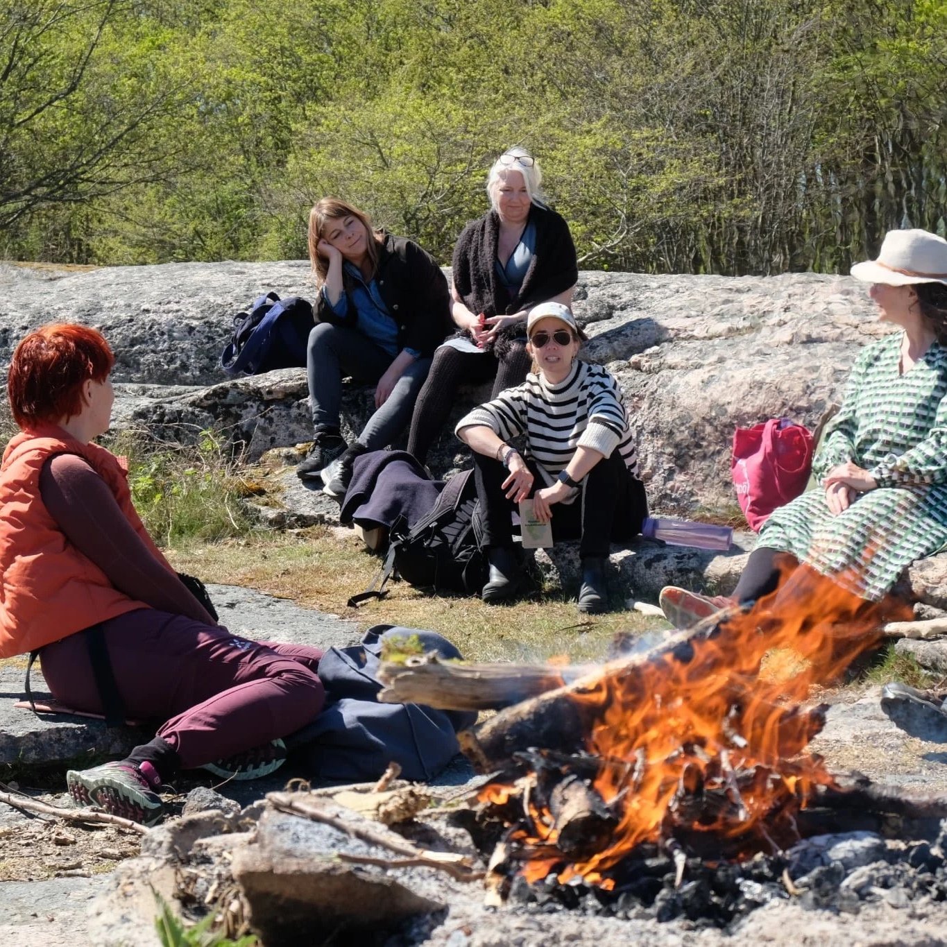 gruppe på fem mennesker sidder og hygger foran en åben ild i naturen med grønne træer i baggrunden.