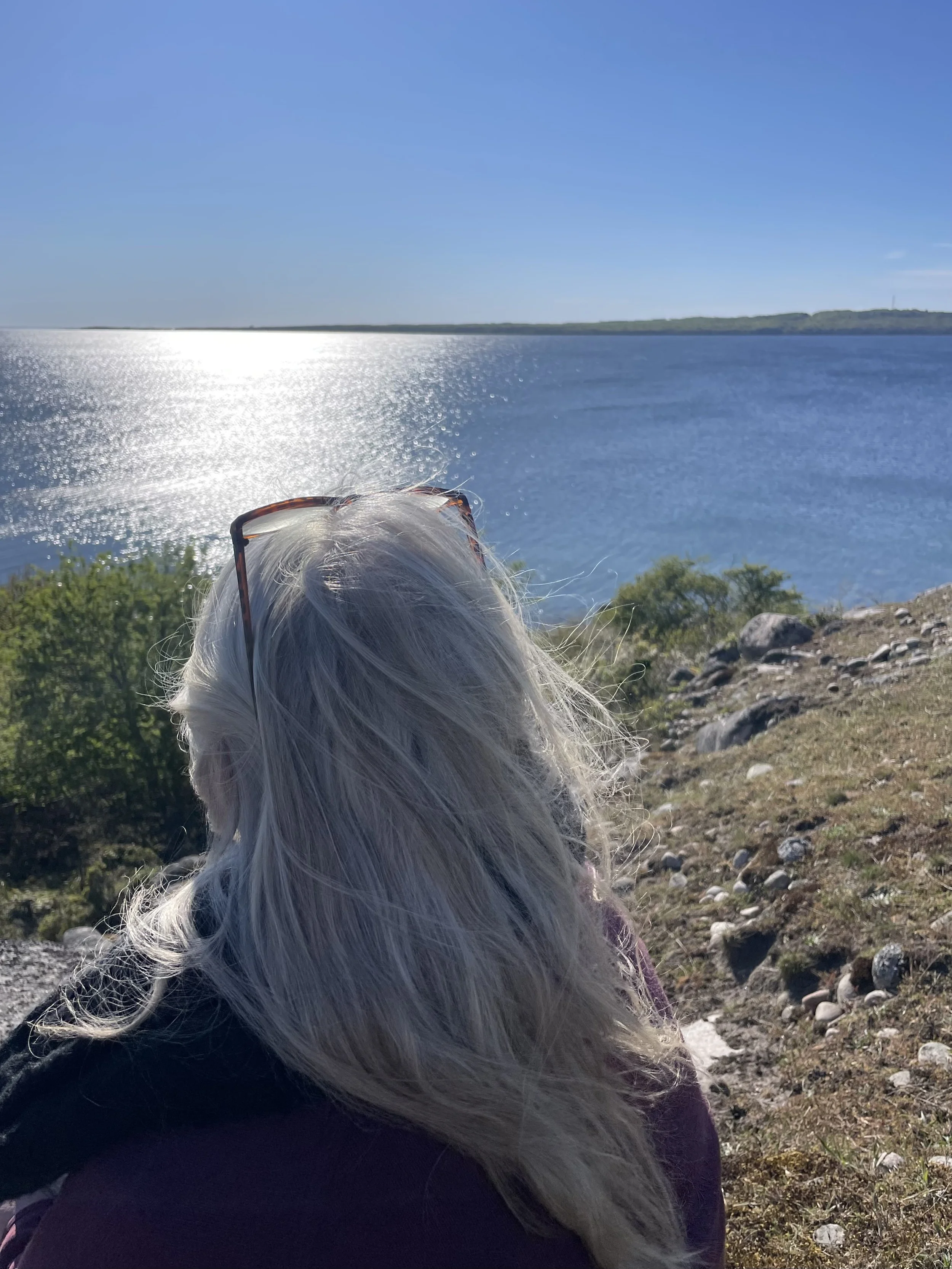 Person med lavt hår og solbriller, siddende nær en sø eller hav, med grønne buske og sten i forgrunden, og en blå himmel i baggrunden. Haö Reflektionsrum.
