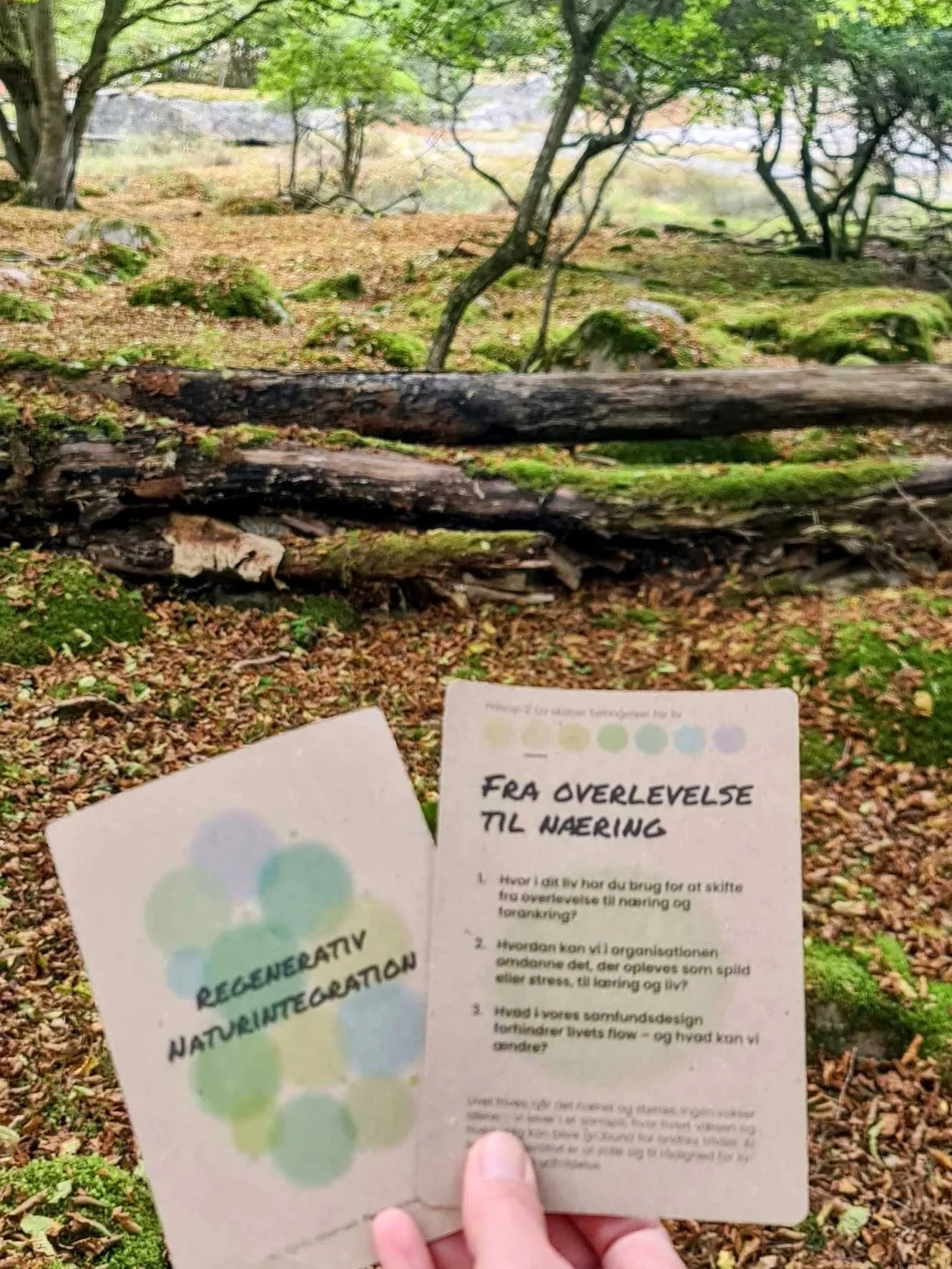 Nature Within You reflection cards and accompanying booklet by Refleksionsrum.