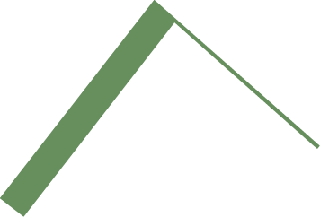 Decorative green angled line.