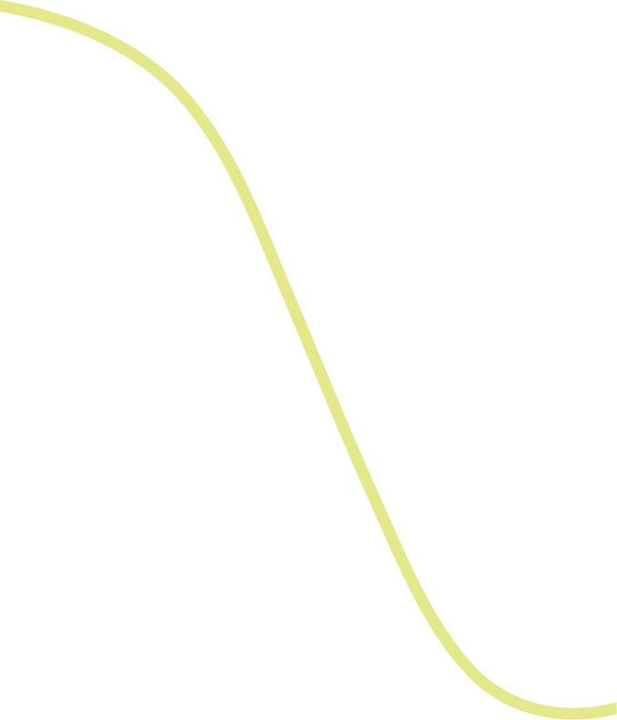 Decorative curved yellow line.
