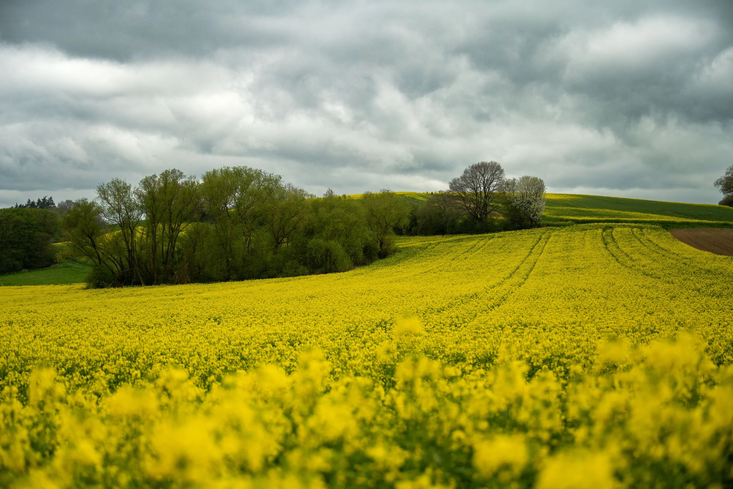 Webseite Portfolio Landschaft 074.jpg