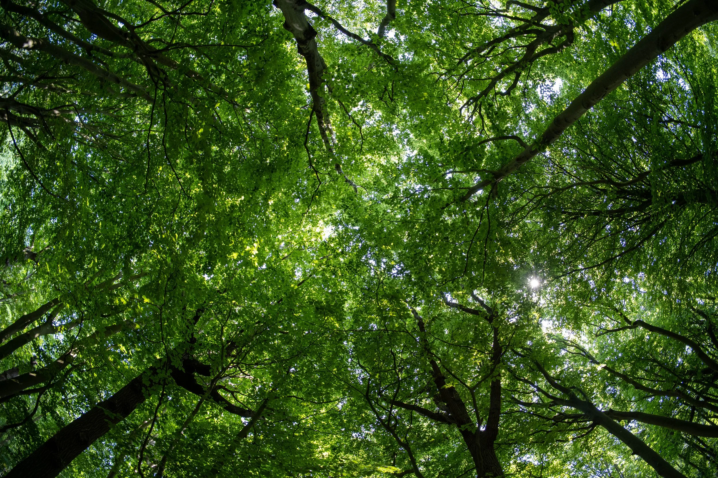 Webseite Portfolio Landschaft 028.jpg