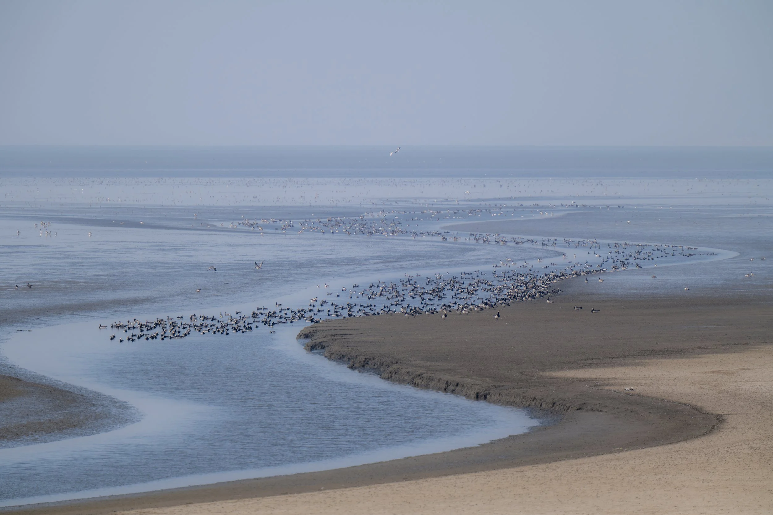 Webseite Portfolio Landschaft 077.jpg