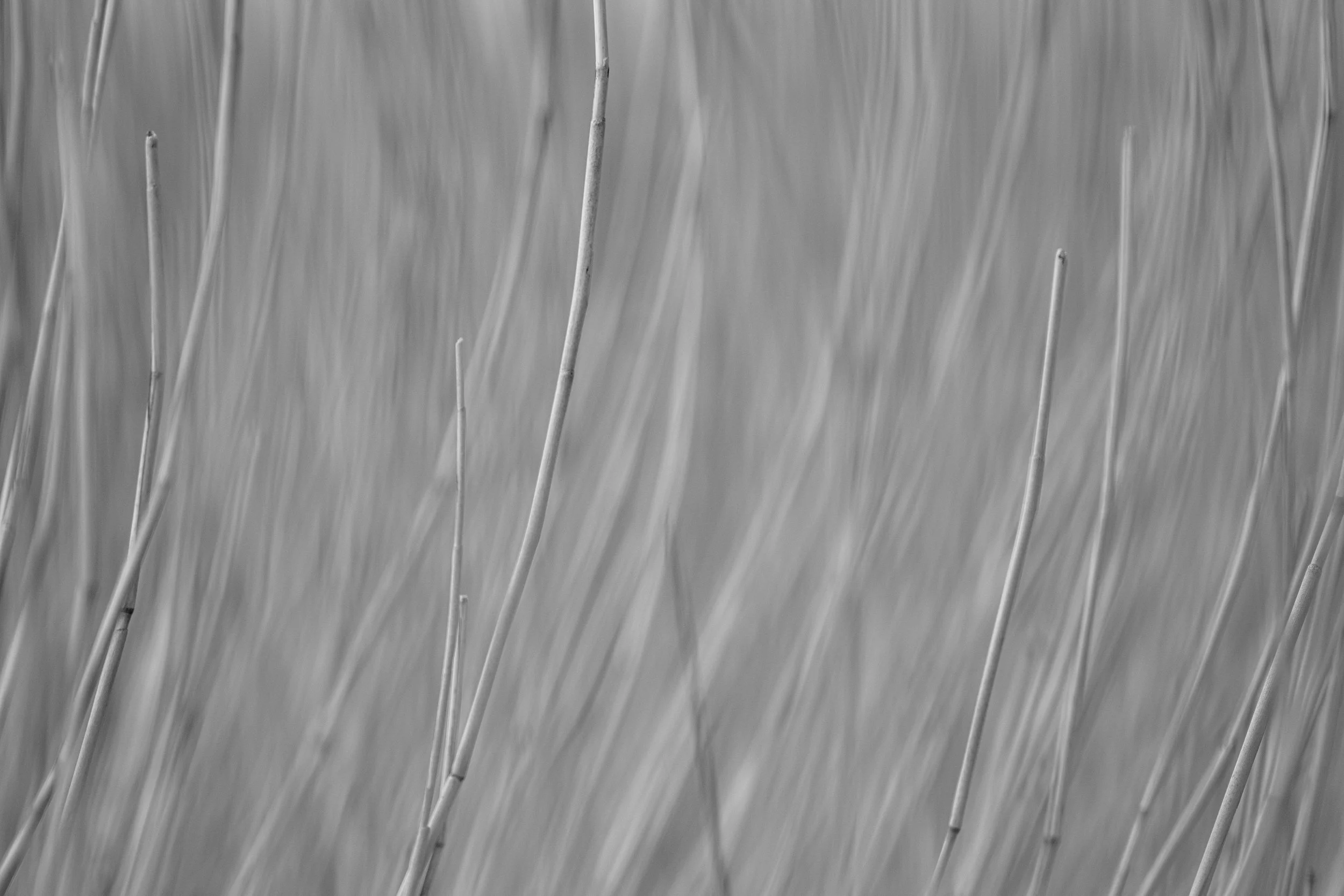 Webseite Portfolio Abstrakt 018.jpg