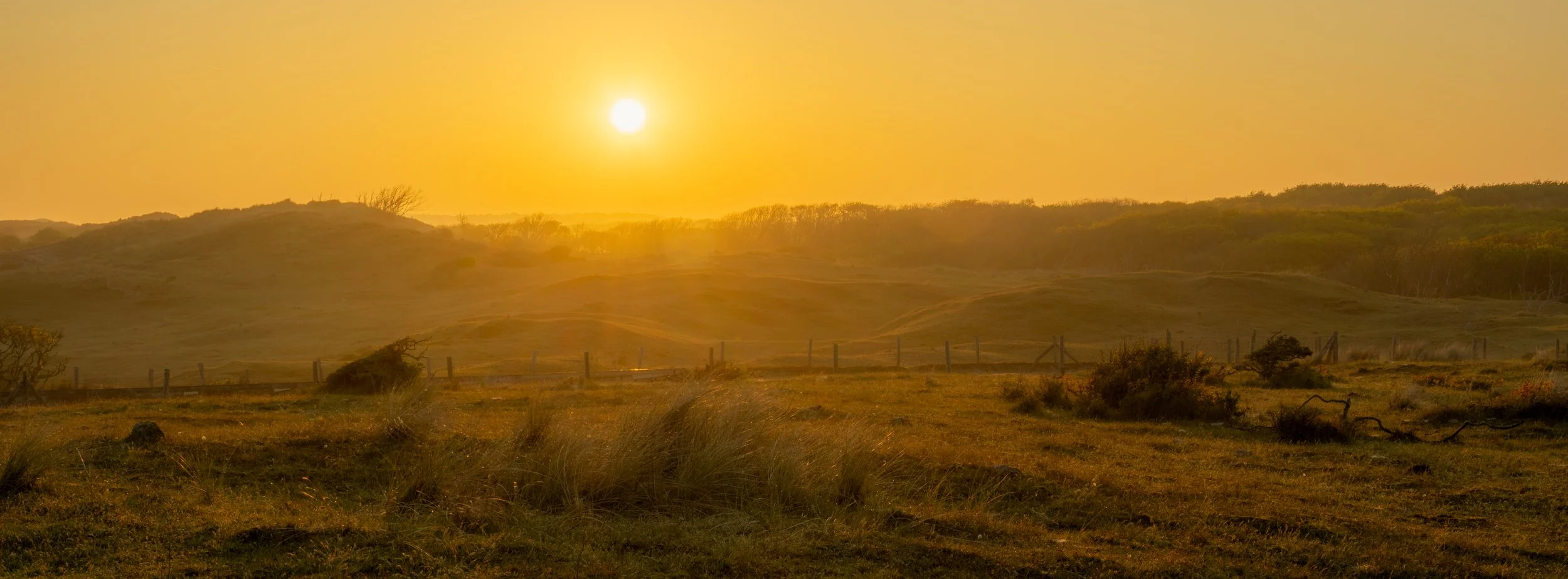 Webseite Portfolio Landschaft 003.jpg