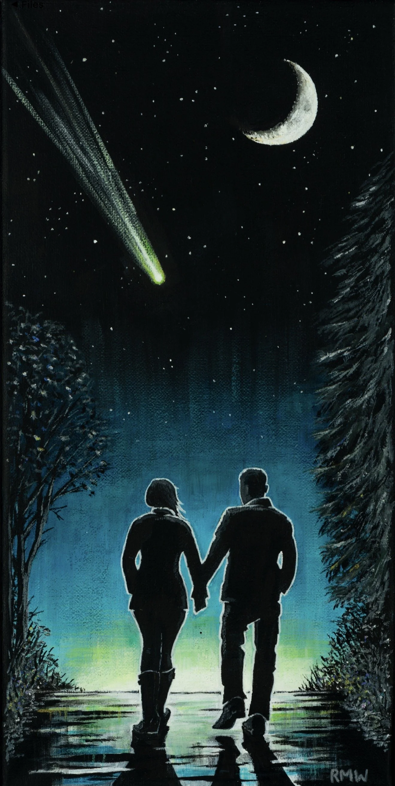 A silhouette of a man and woman holding hands walking on a path at night, with a starry sky, crescent moon, and shooting star above them; trees line the path on both sides.