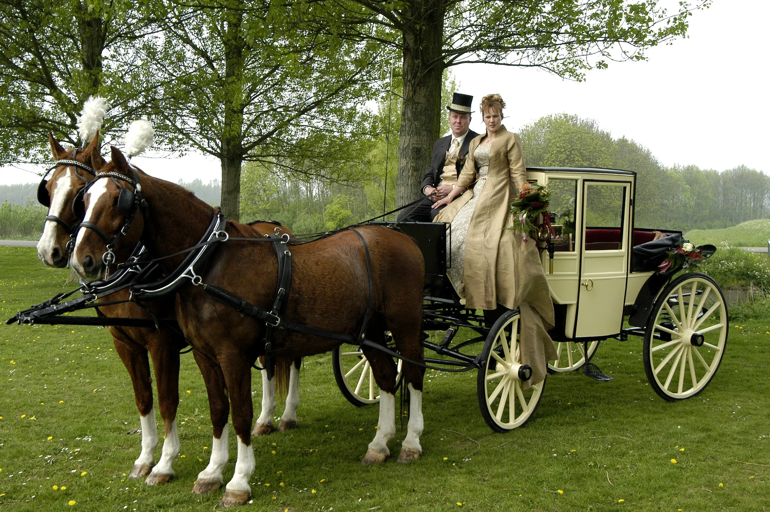 Een rijtuig getrokken door twee bruine paarden met witte vlekken, waarop een man en een vrouw in vintage kleding zitten, in een groen park met bomen.