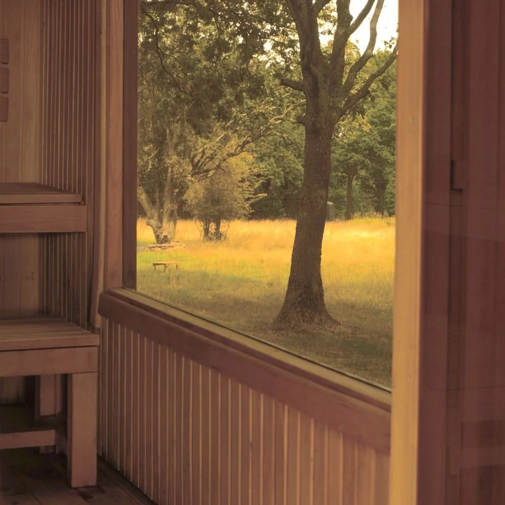 Interior of a wooden sauna with a window overlooking a rural scene