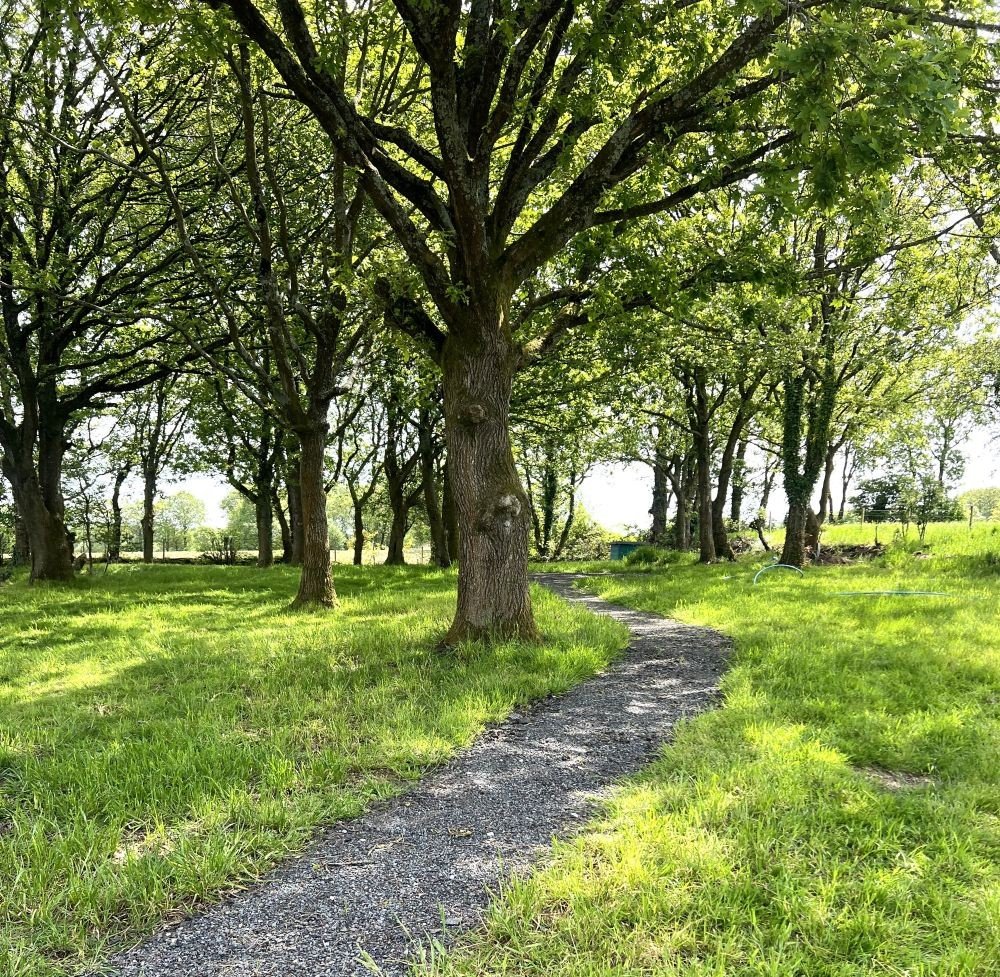 A gravel path winding through a grassy area with trees providing shade, on a sunny day.