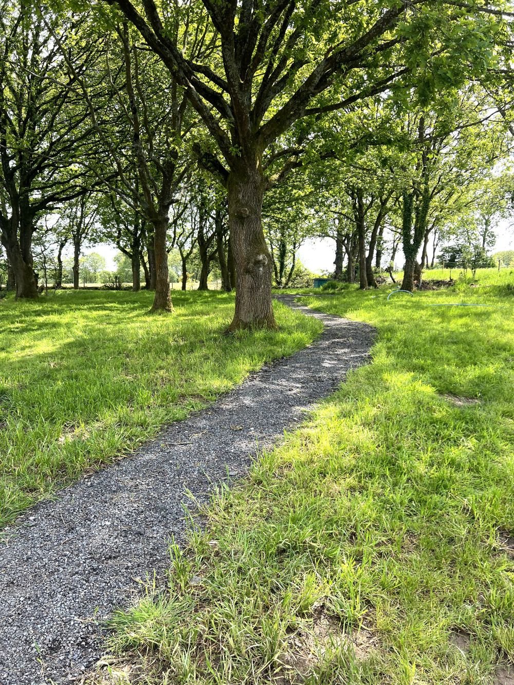 A gravel pathway winding through a lush, green park or wooded area with tall trees providing shade.