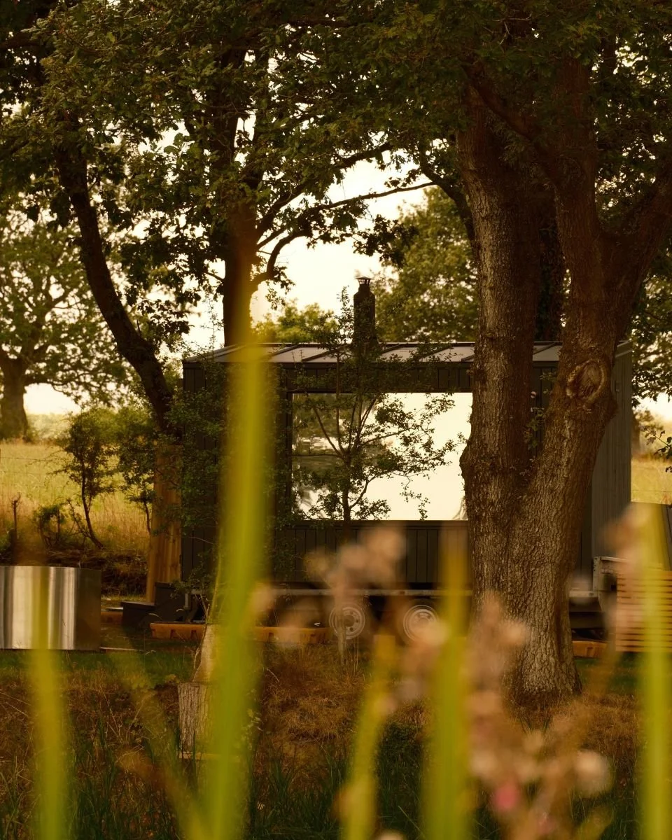 A wooden sauna hut in a woodland setting