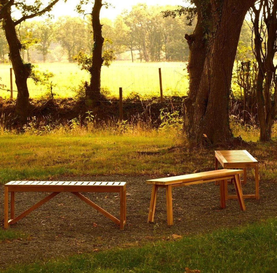 Wooden benches in a woodland setting