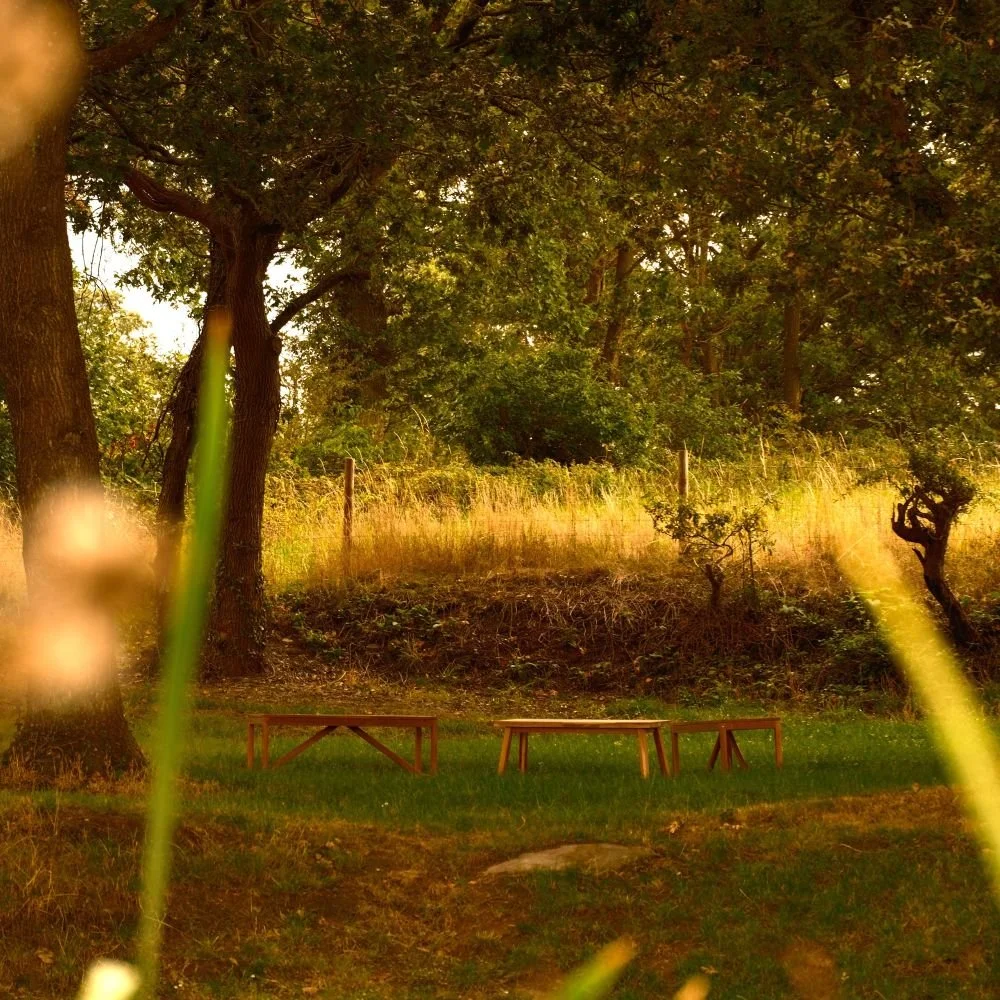 Wooden benches arranged in a circle in an outdoor setting