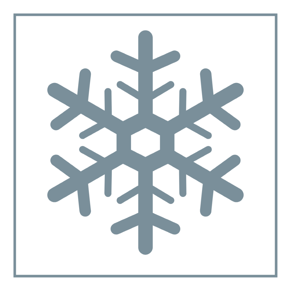 A blue snowflake icon with a light blue border.