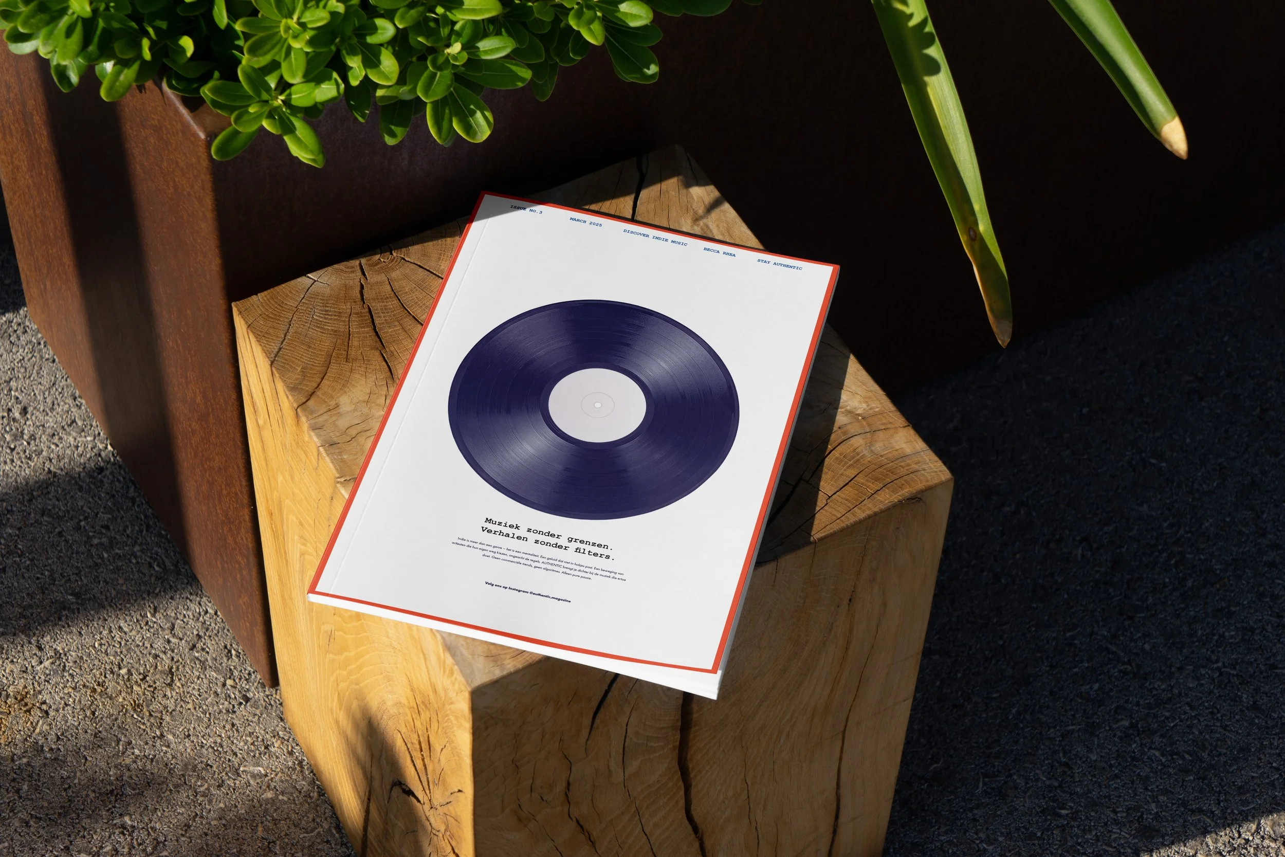 Een vinylplaat met een blauw label ligt op een houten blok, naast een groene plant, op een rand van een houten meubel en een betonnen vloer.