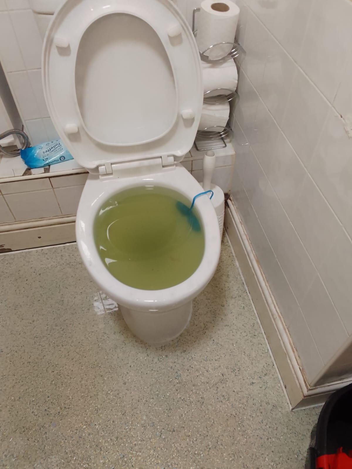19ada63e-8b25-40a7-8444-c3b5e74012b7.JPG