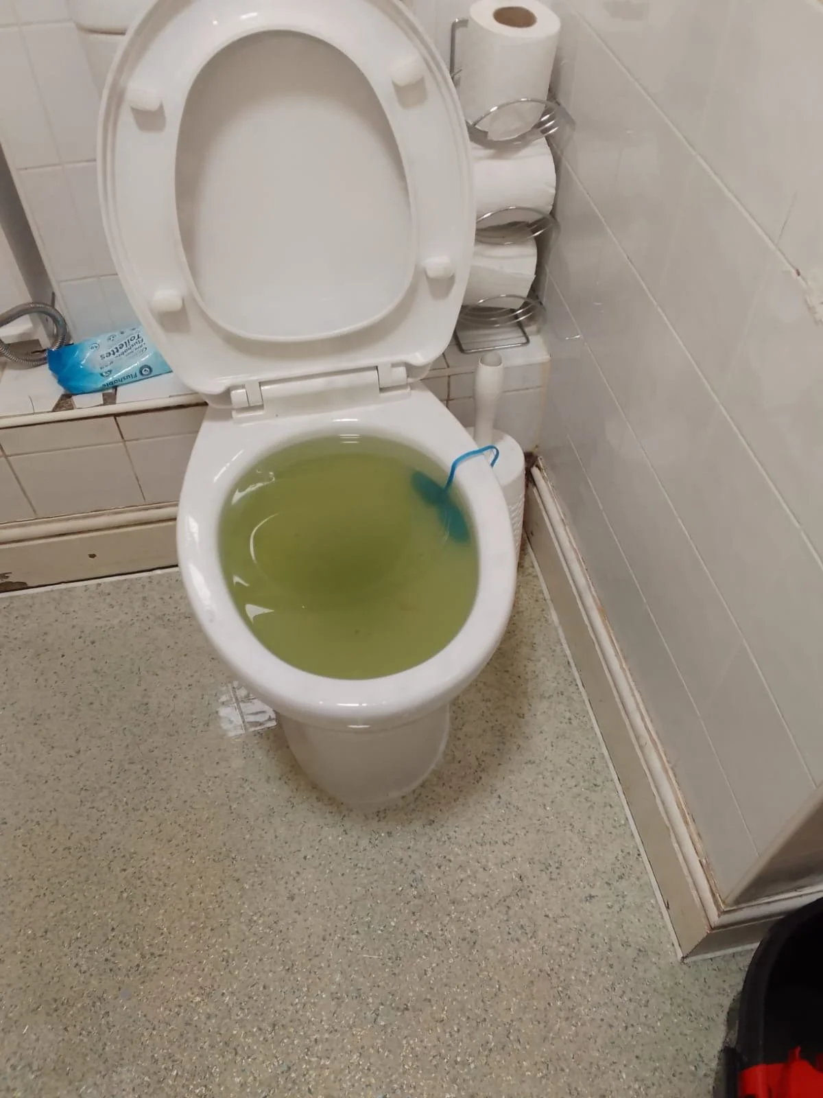 toilet-unblocking.JPG